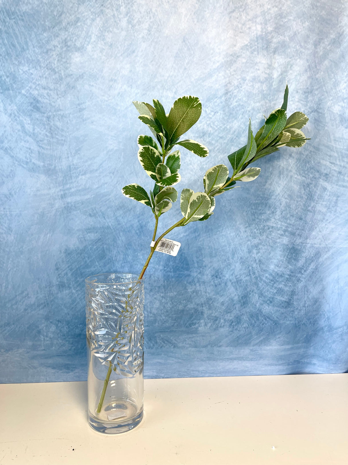 Sage Cider Gum Spray