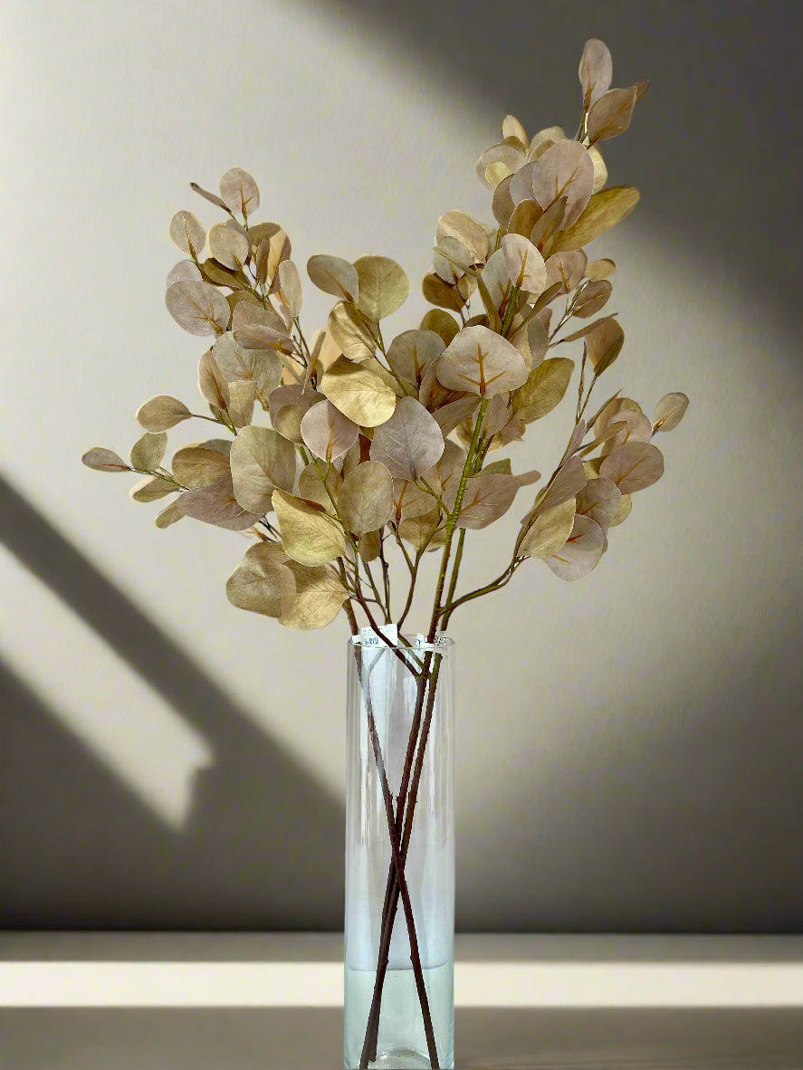 Brown Silver Dollar Eucalyptus Spray