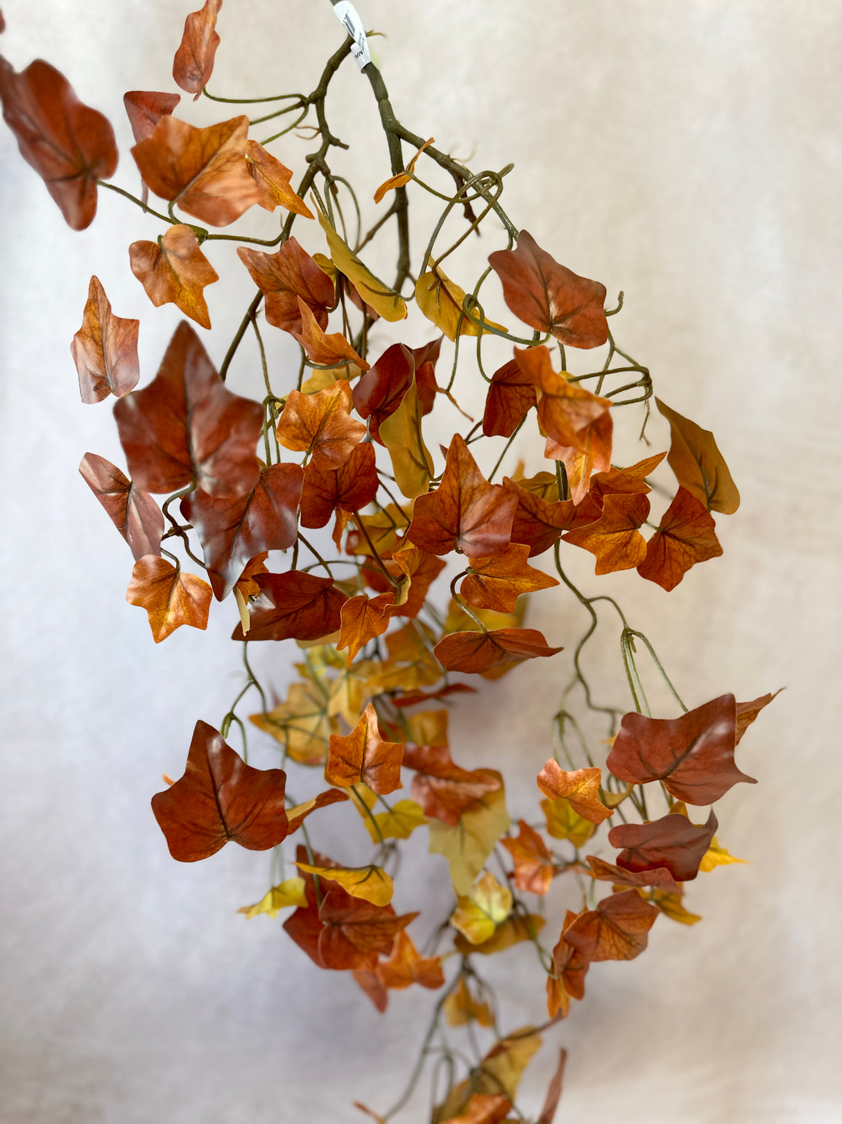 Autumn Cottage Ivy Falling Spray