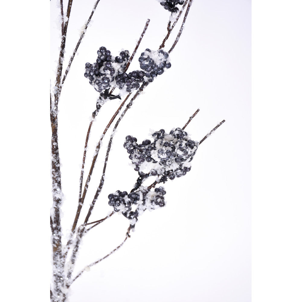 Snow Blue Berry Branch