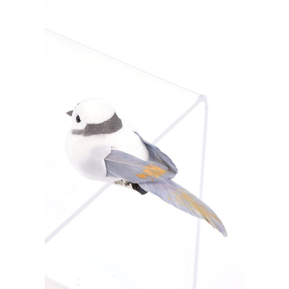 Assorted Clip Birdie Box