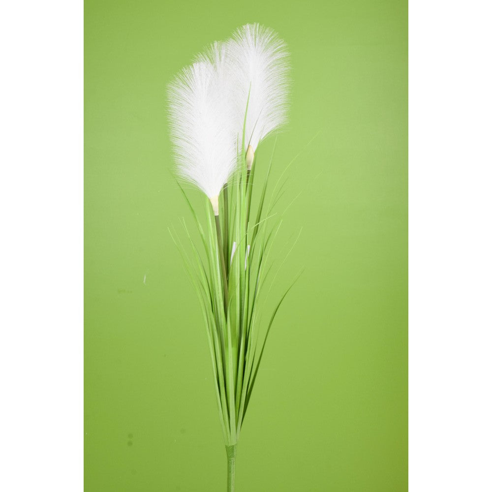 White Reed Grass Bush