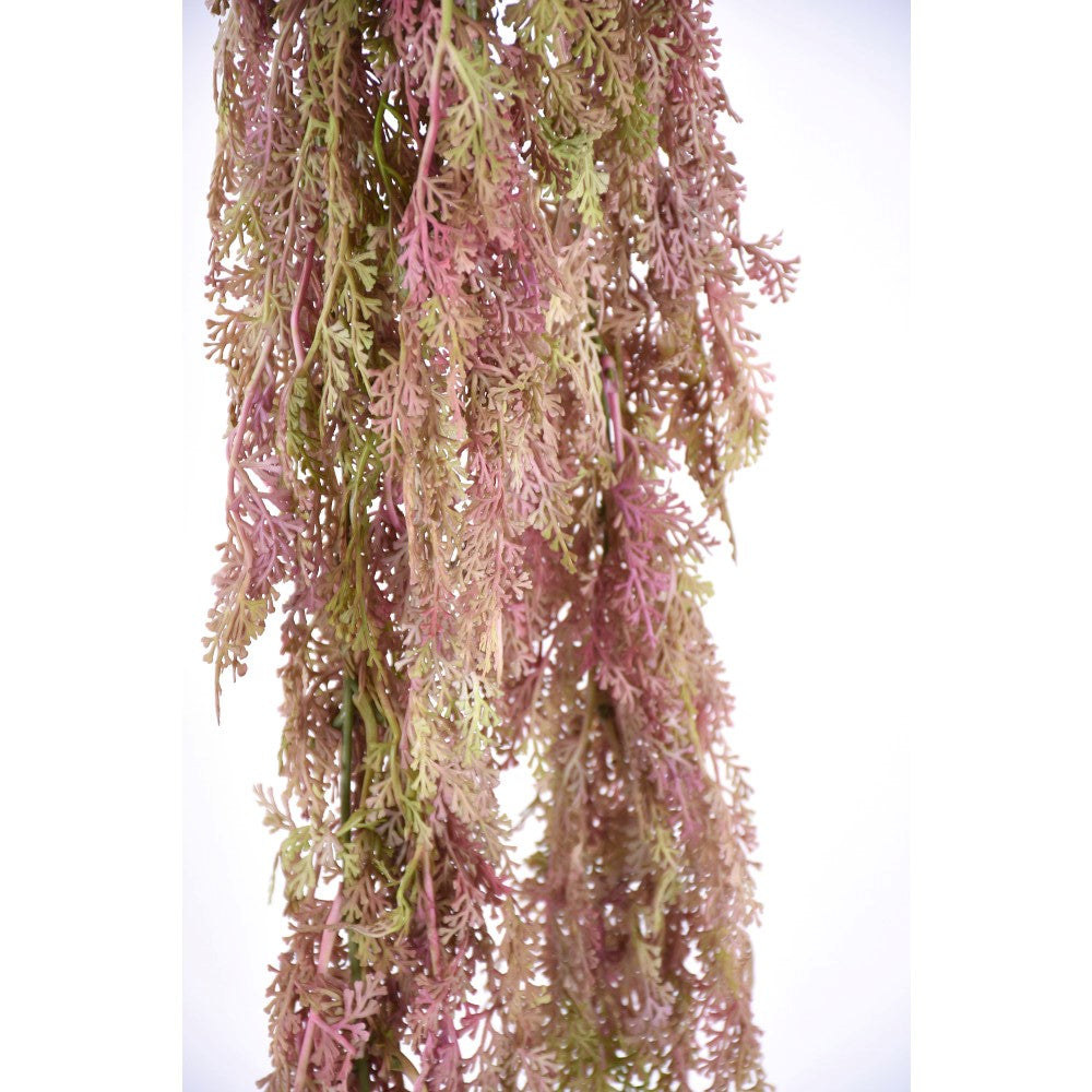 Pink Hanging Fern