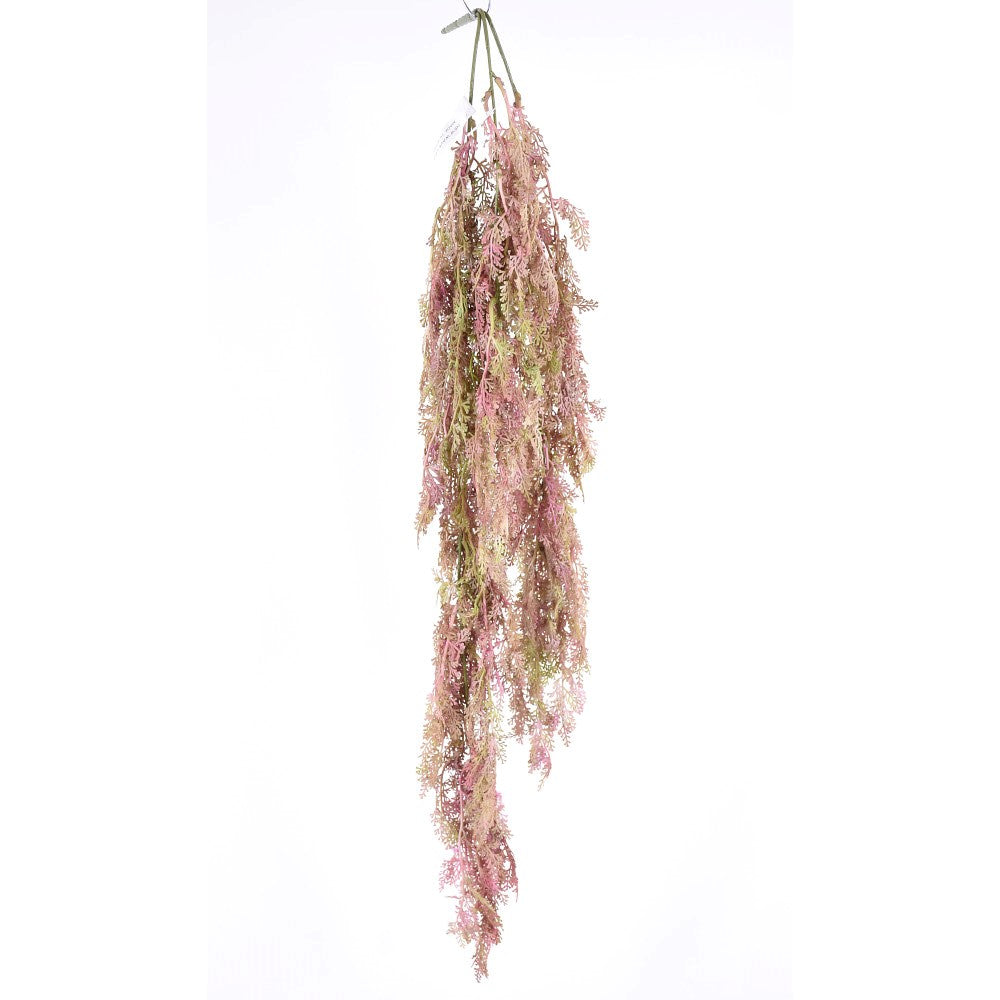 Pink Hanging Fern