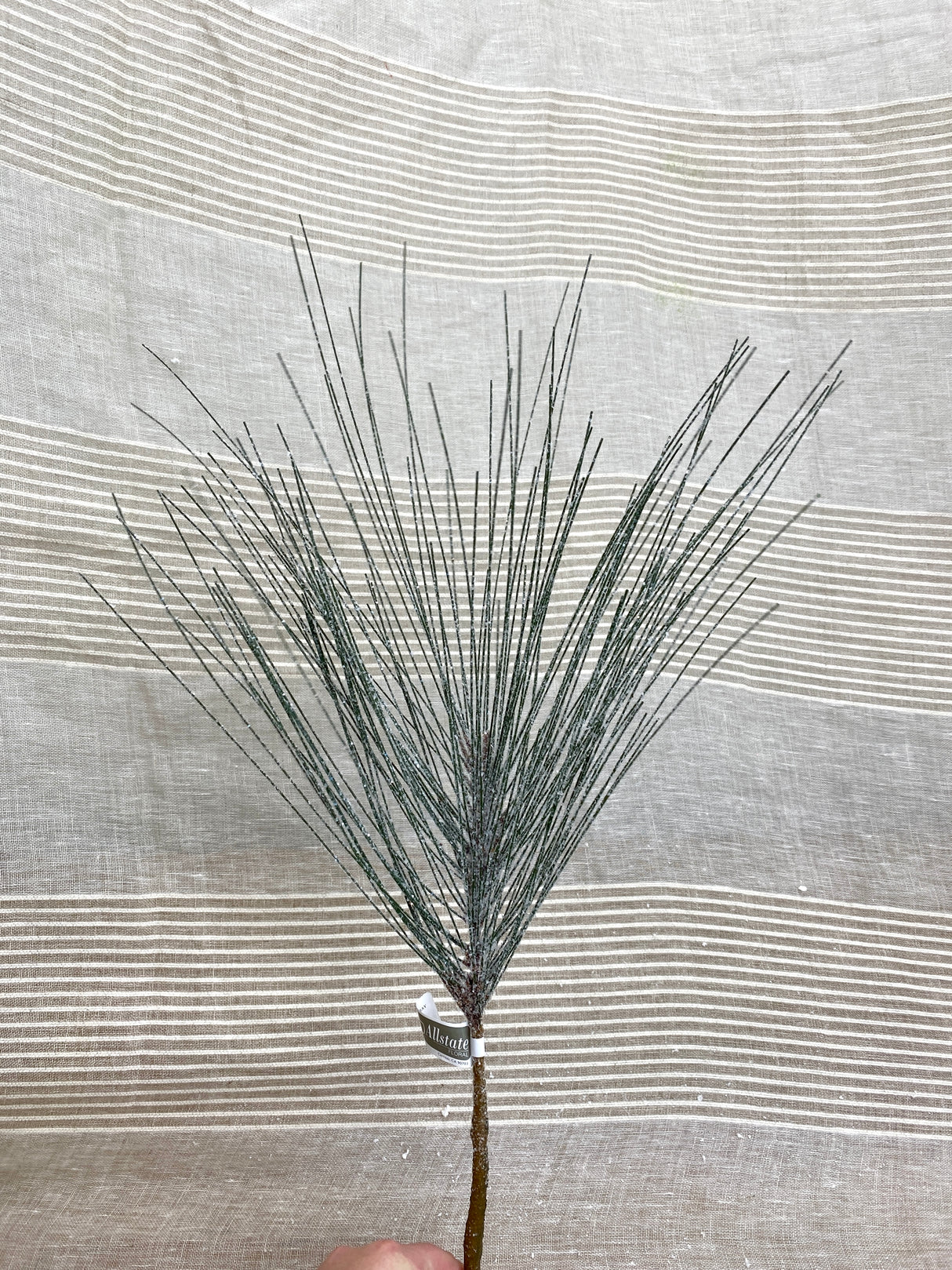 Snowy Long Needle Pine Spray