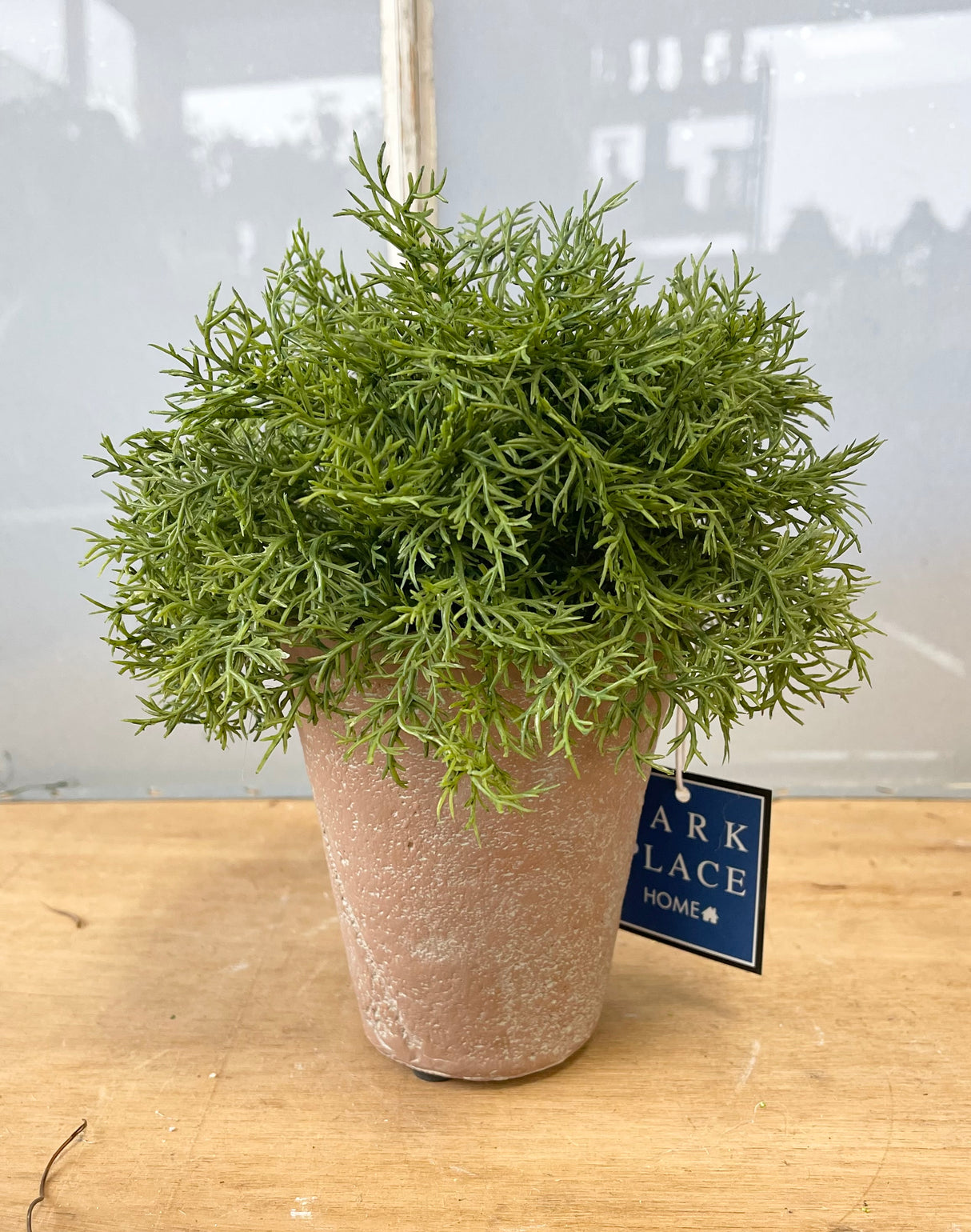 Real Touch Potted Sprengeri