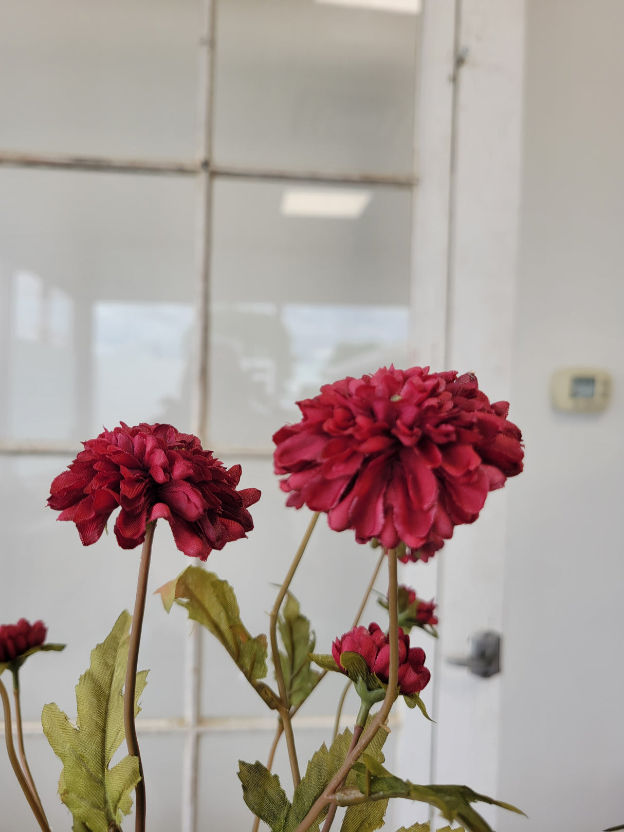 Burgundy Pom-Pom Mum Spray