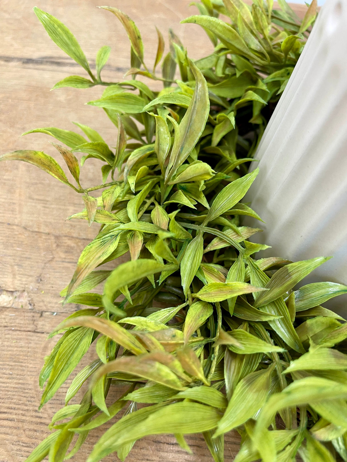 12" Smilax Candle Ring