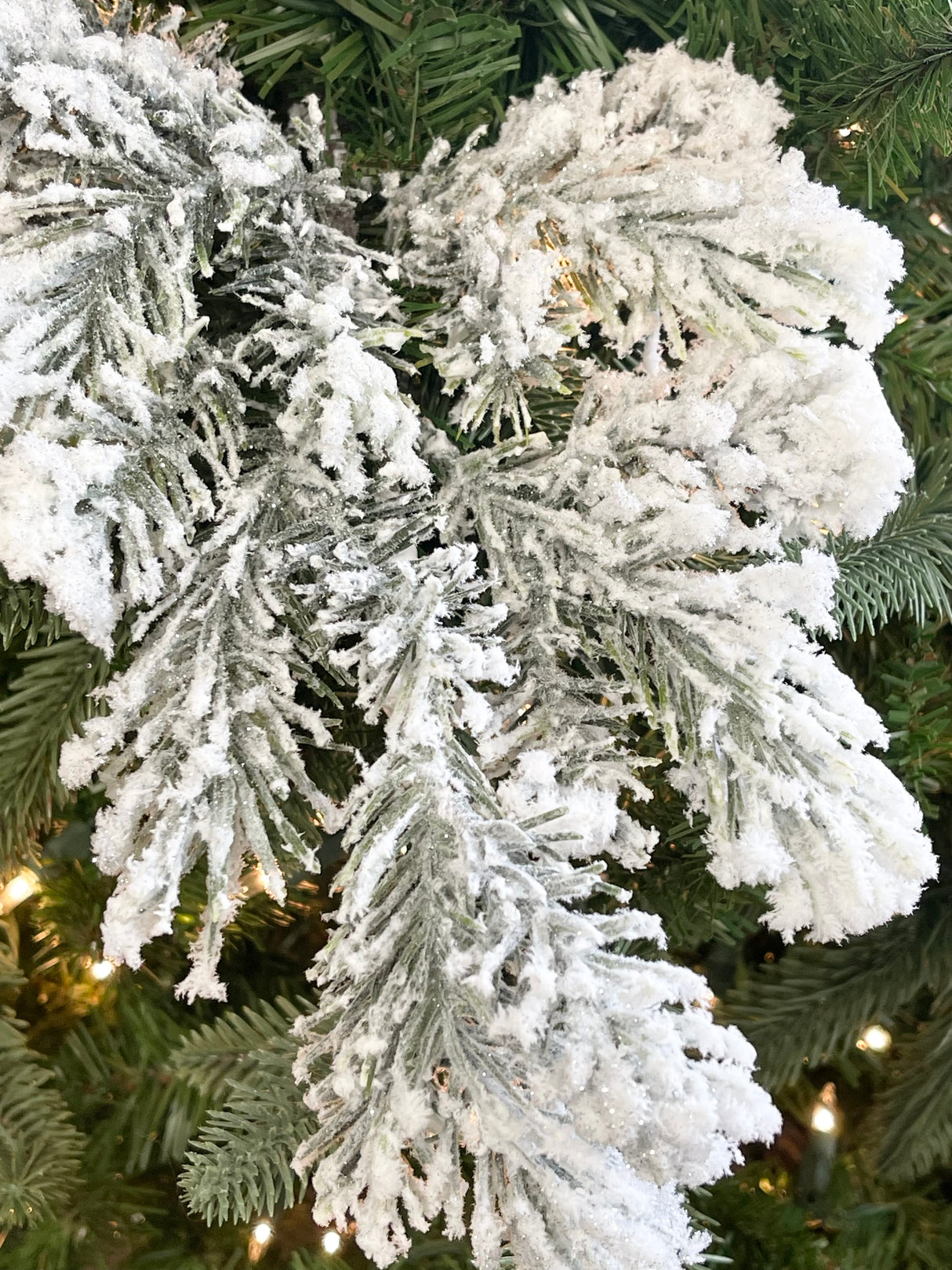 First Snow Noble Pine Spray