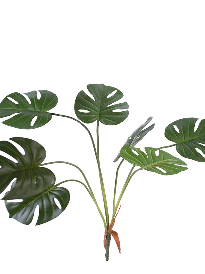 Monstera Leaf Bush