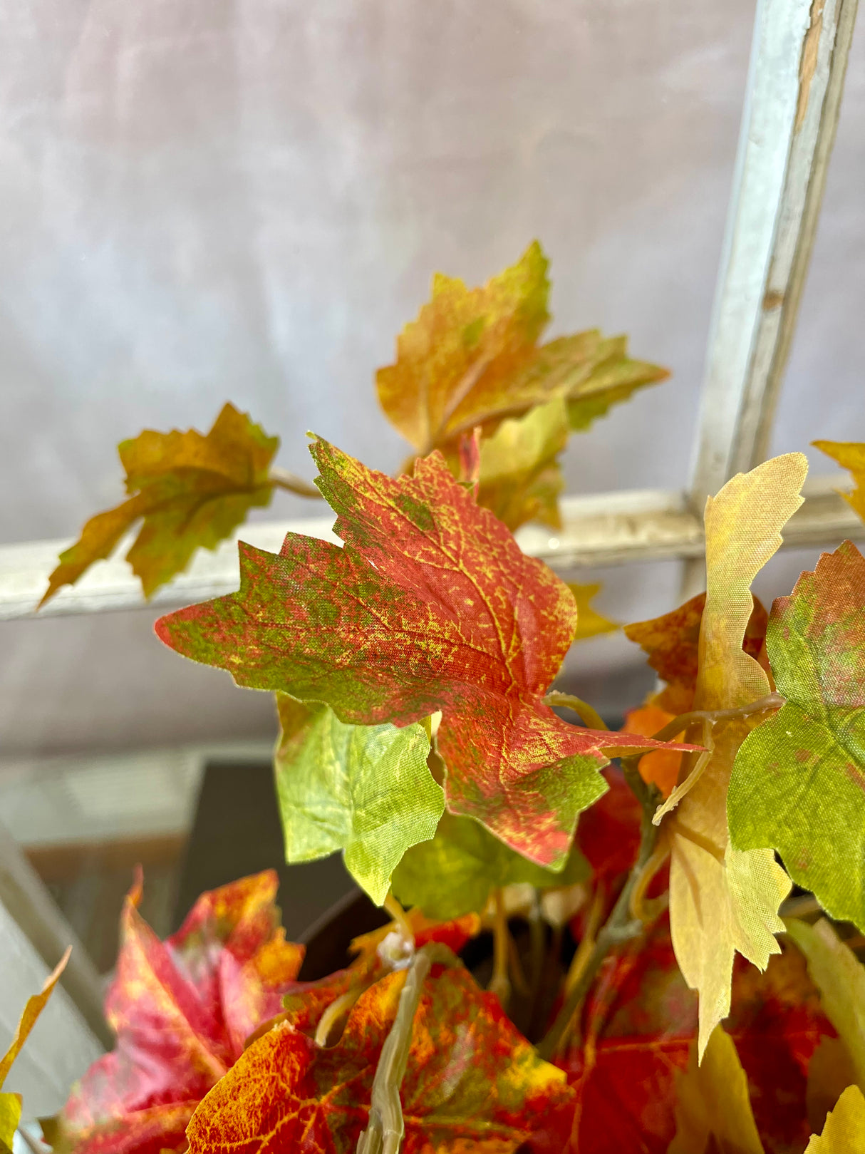Flame Maple Leaf Hanging Bush