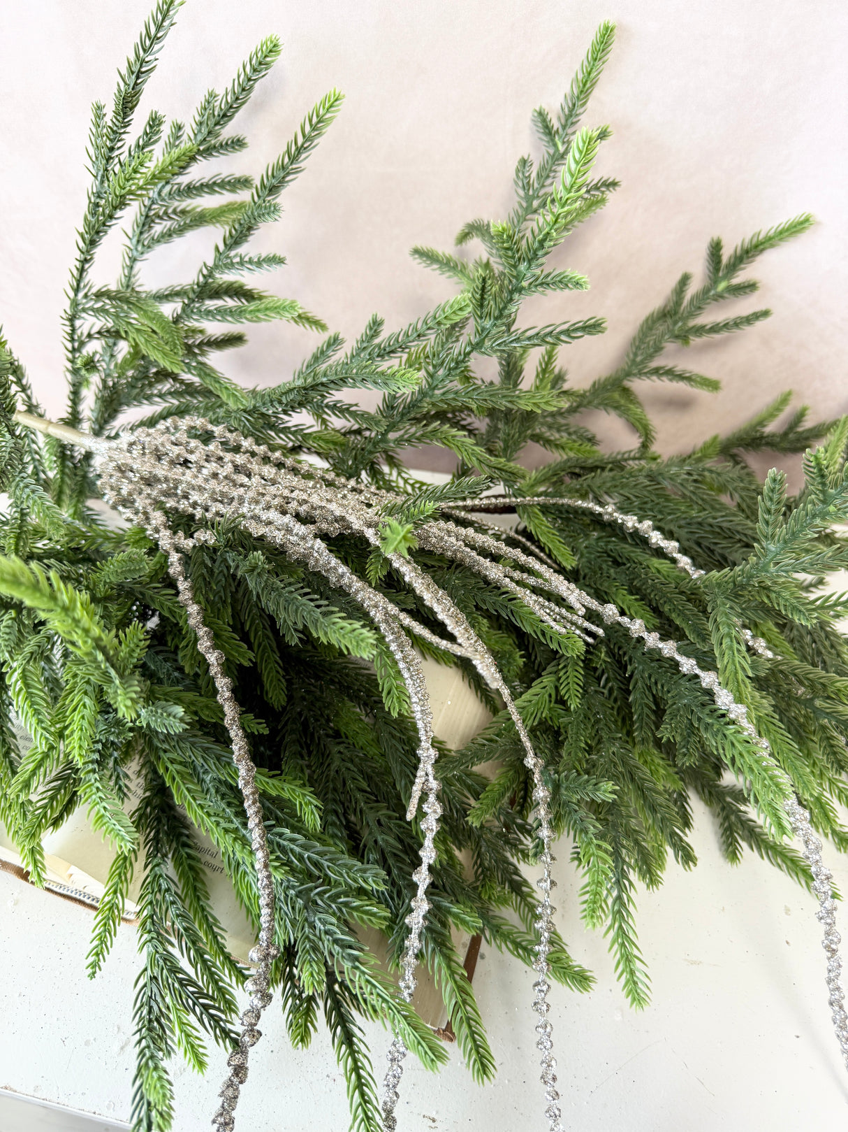 Platinum Senecio Hanging Vine