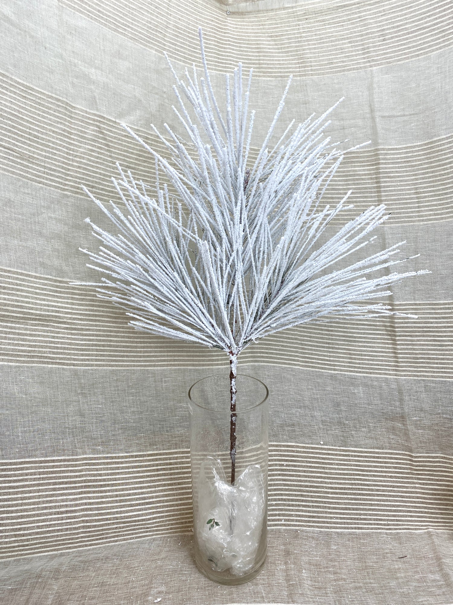 Powerdered Snow Long Needle Pine Spray