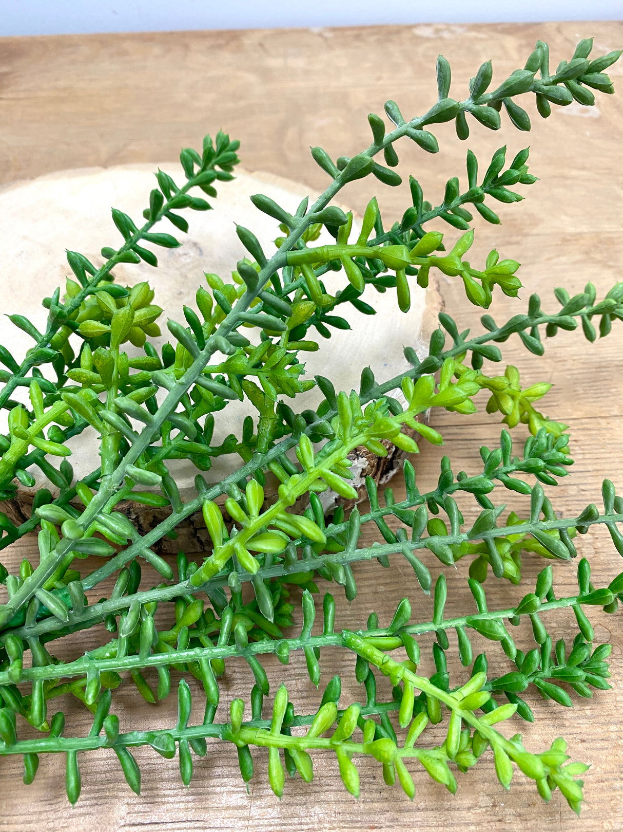 Green Journey Sedum Spray