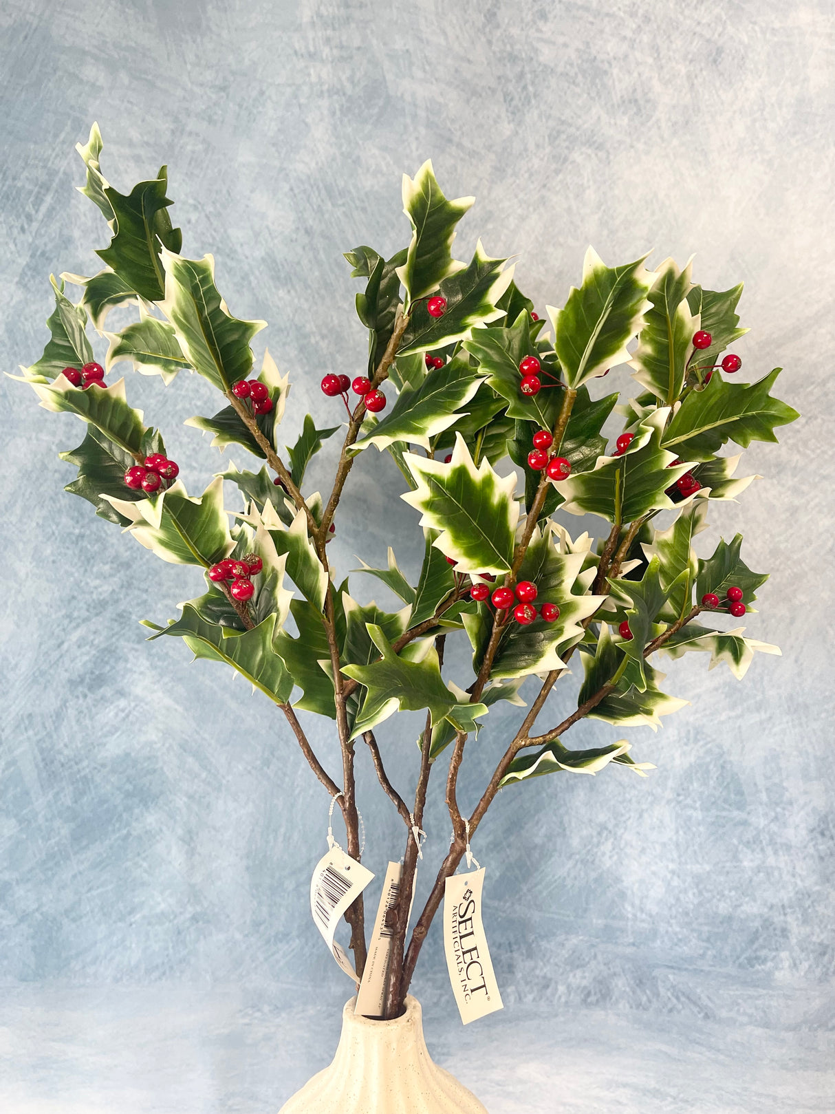Variegated Burford Holly Spray
