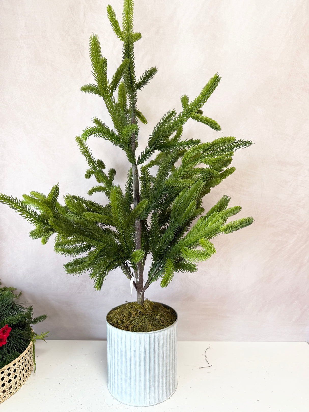 36" Potted Real Touch Norway Spruce Tree