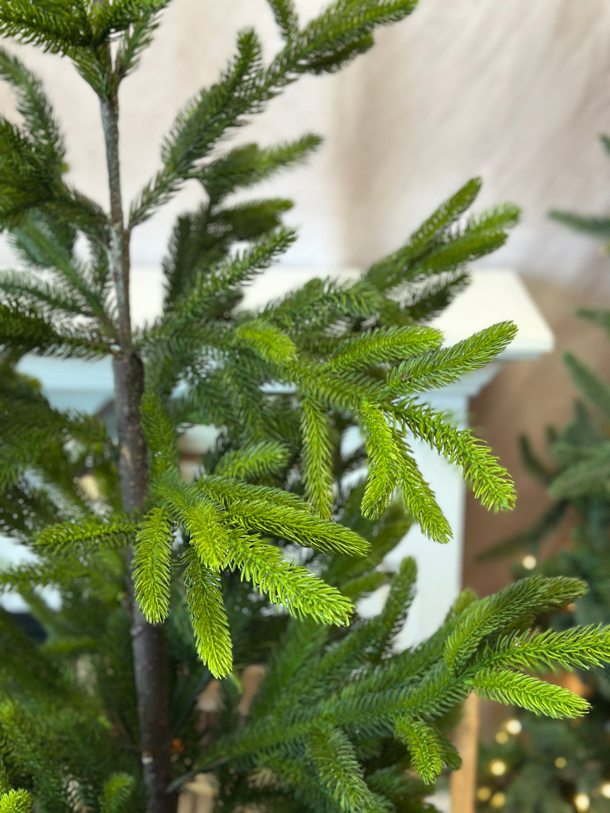 48" Potted Real Touch Norway Spruce Tree