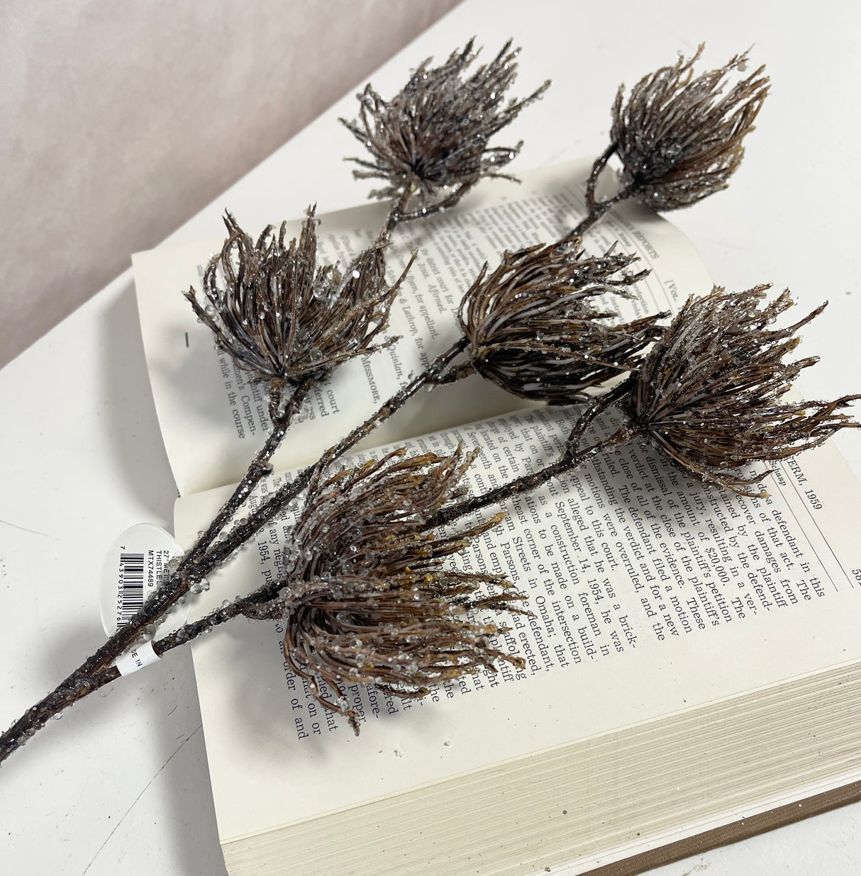 Brown Iced Thistle Spray