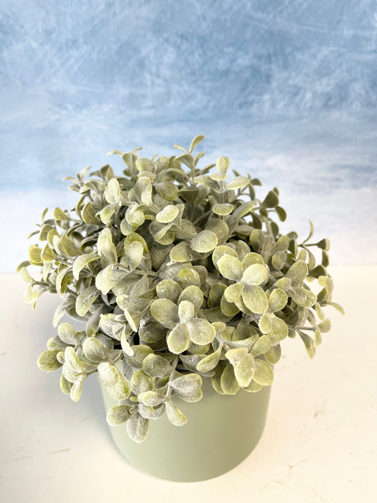 Pebble Eucalyptus Half Sphere