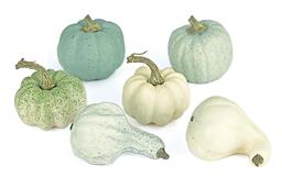 Mixed Blue Pumpkins & Gourds