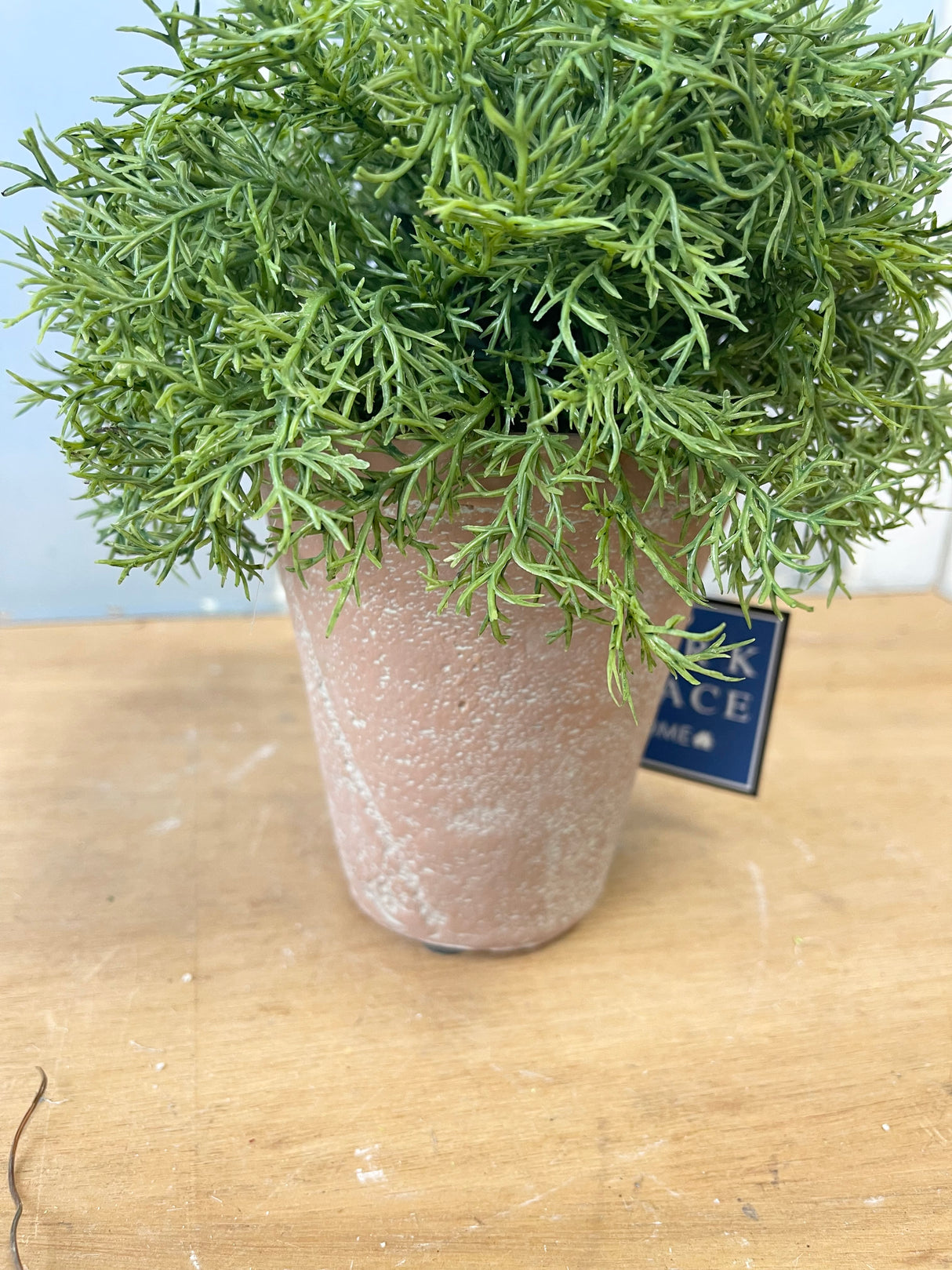 Real Touch Potted Sprengeri