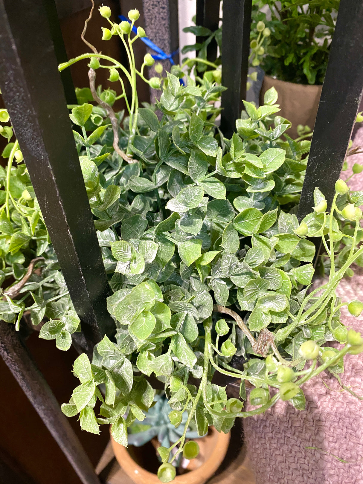 12" Boxwood Half Orb