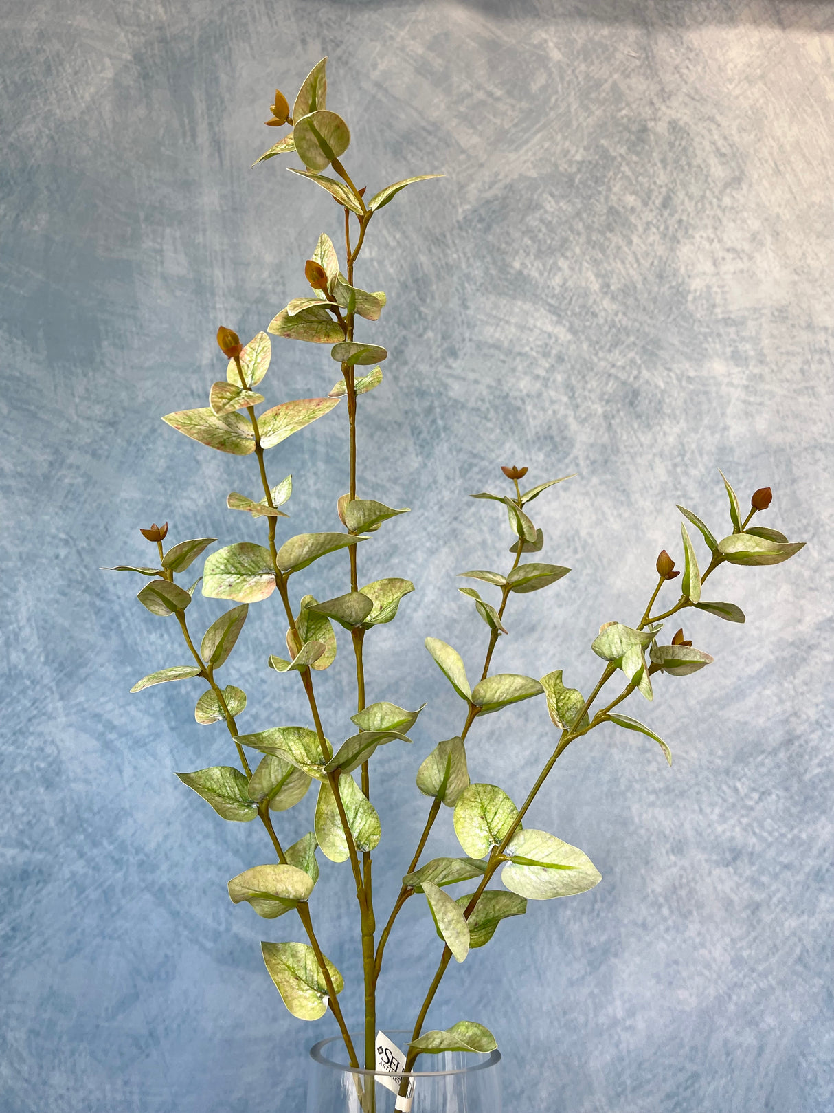 Sage Cider Gum Spray