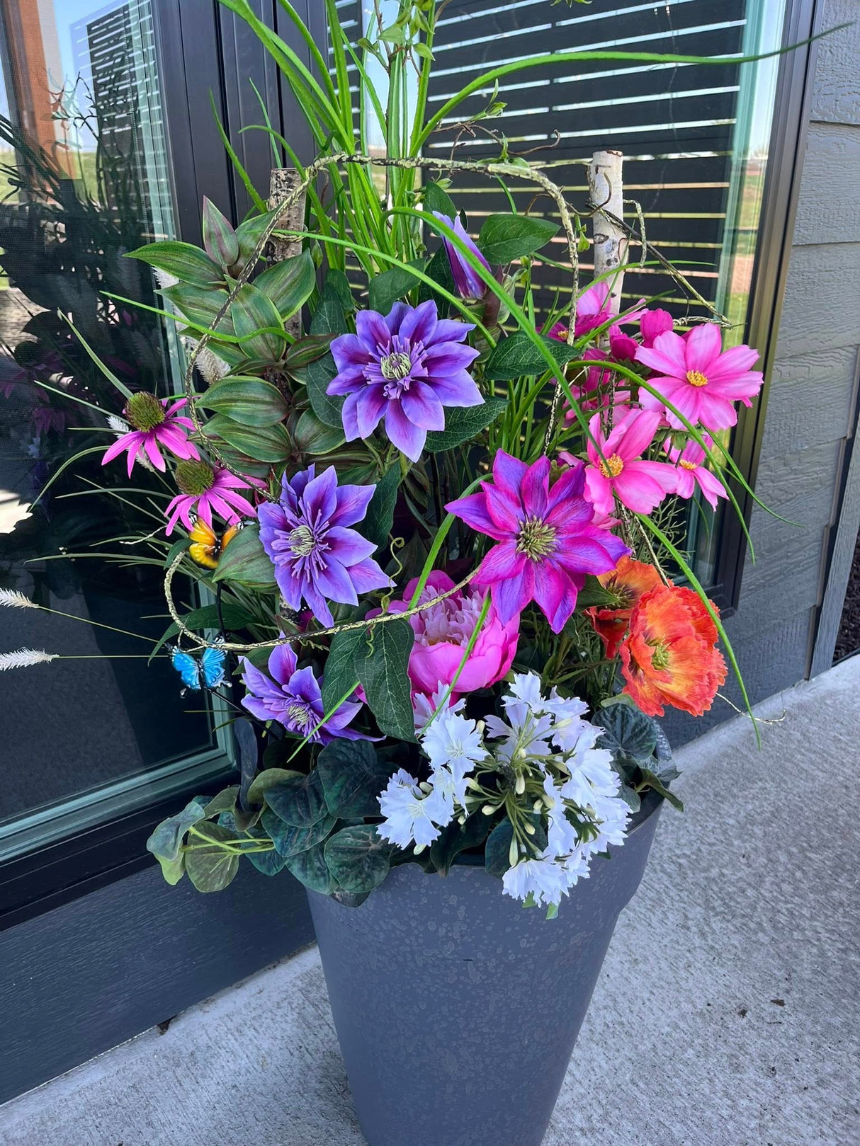 Tradescantia Hanging Bush