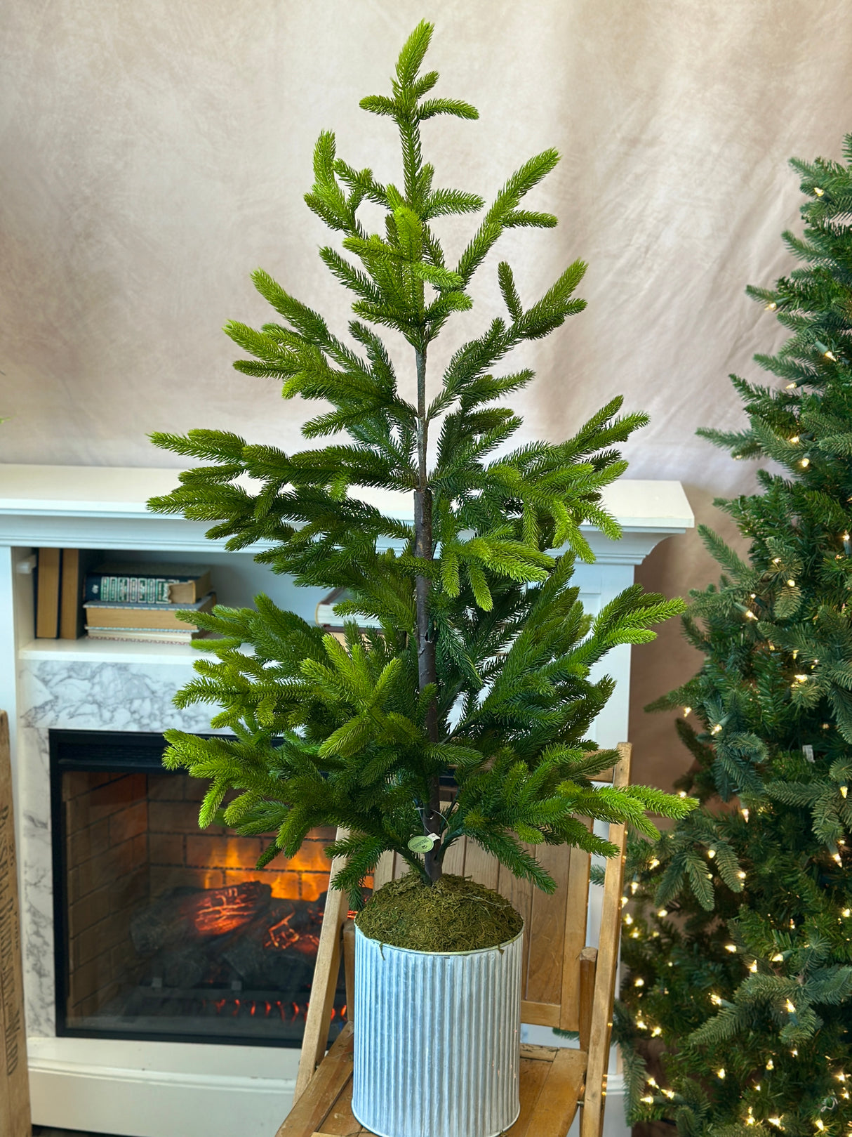 48" Potted Real Touch Norway Spruce Tree