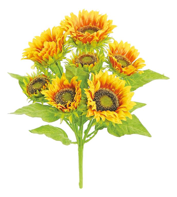 Orange Yellow Sunflower Bush