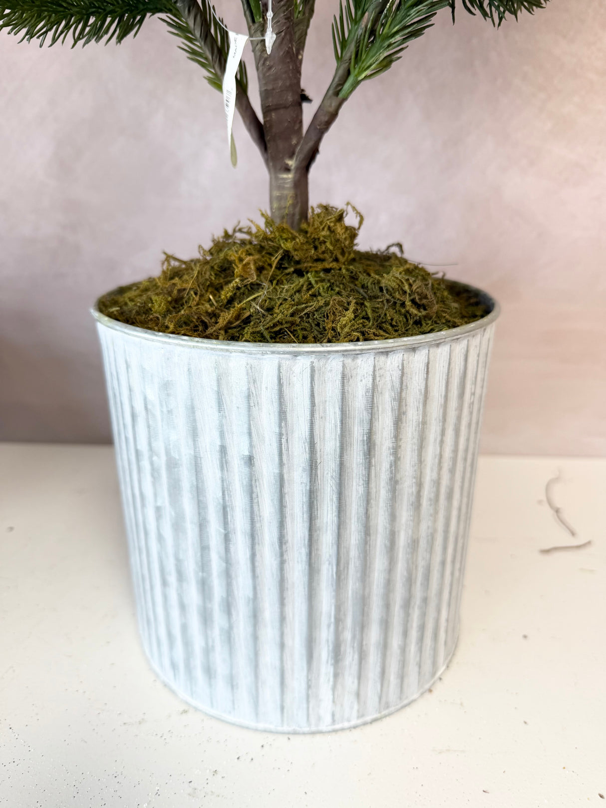 36" Potted Real Touch Norway Spruce Tree