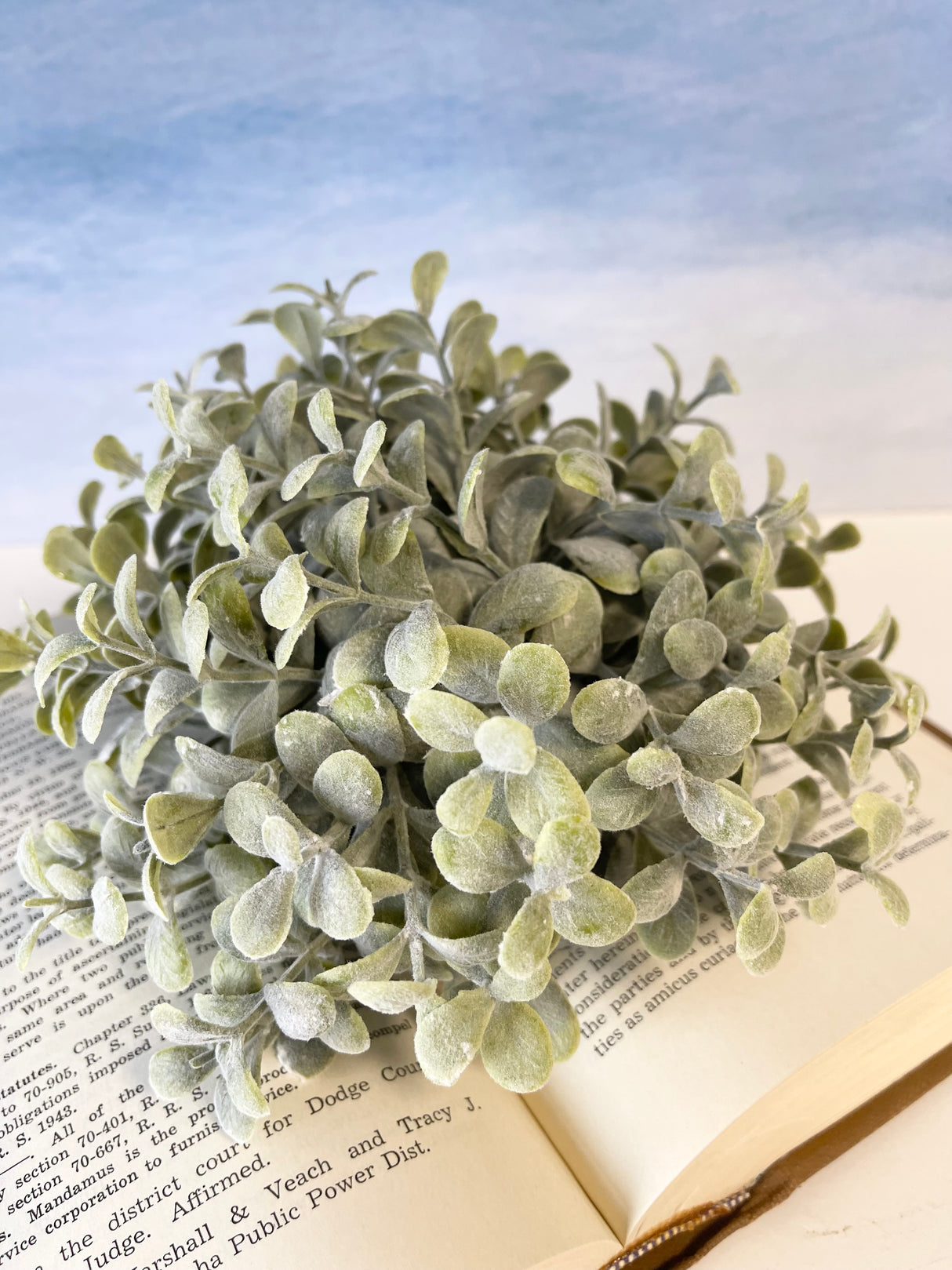 Pebble Eucalyptus Half Sphere