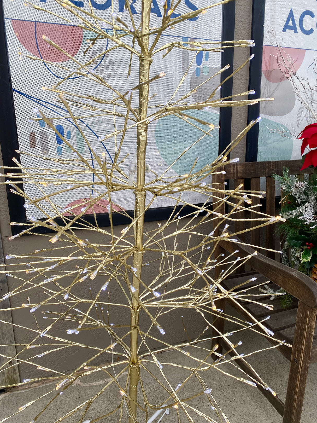 5.5' Birch Twinkle Tree Champagne