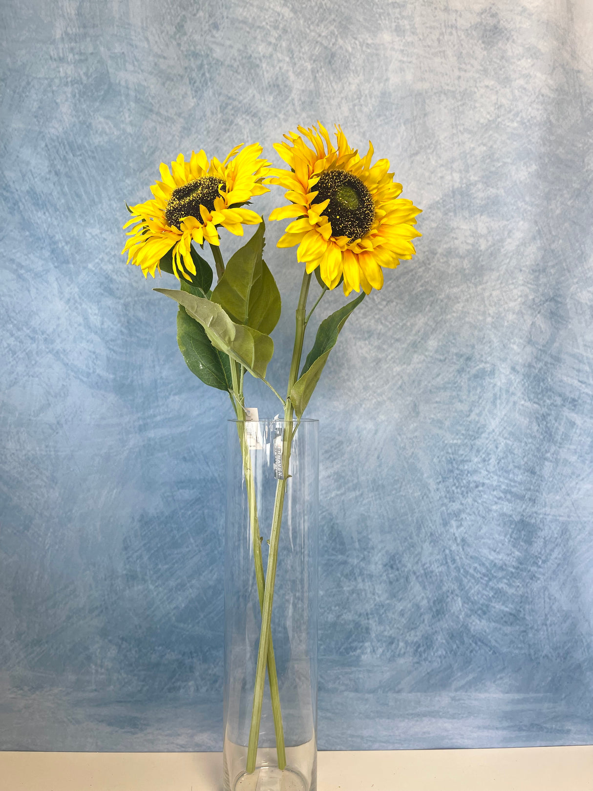 Sunshine Sunflower Stem