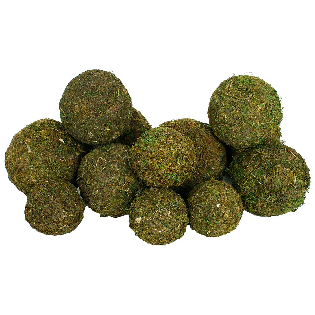 Dried Exotics Moss Orb Bag