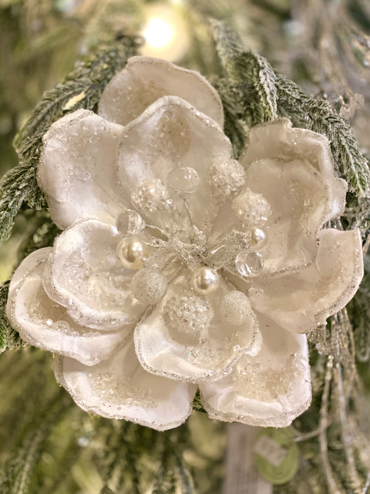 Twinkling Lights Magnolia Stem