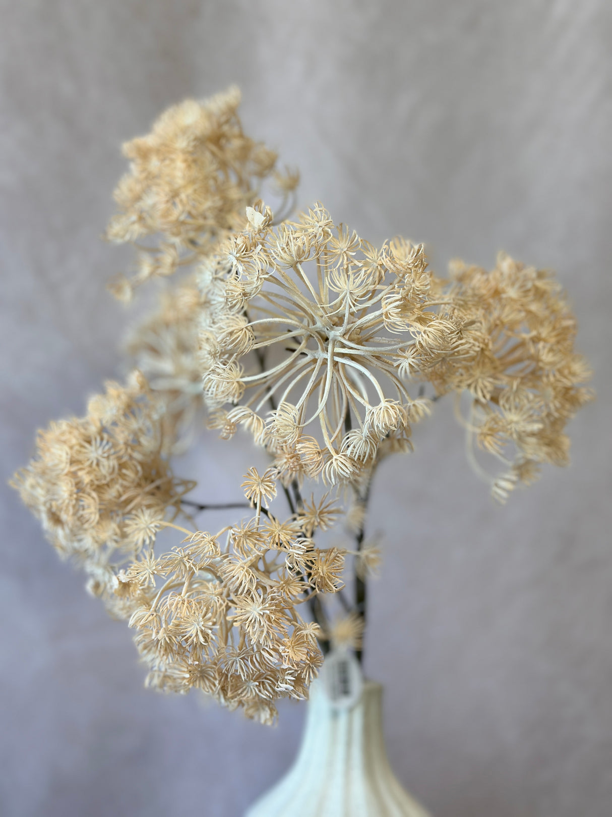 Autumn Queen Anne's Lace Spray