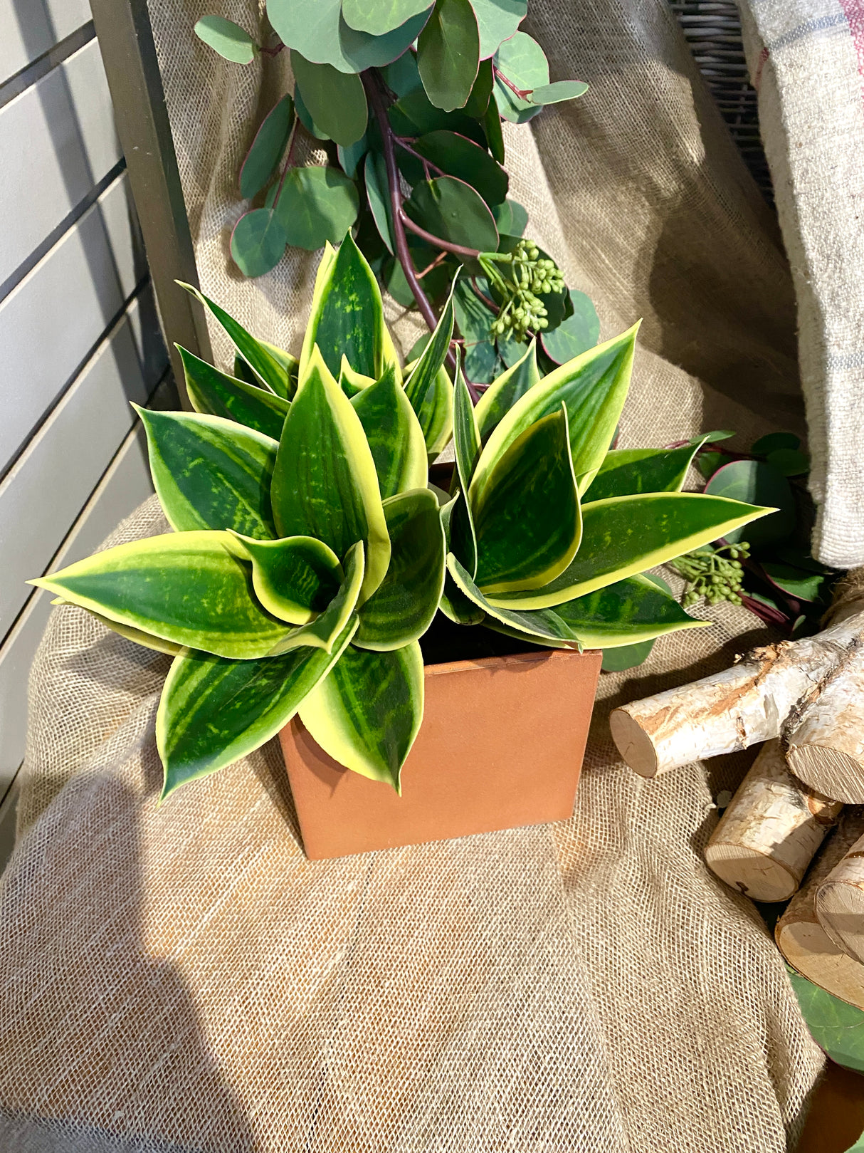 5" Metal Rust Planter