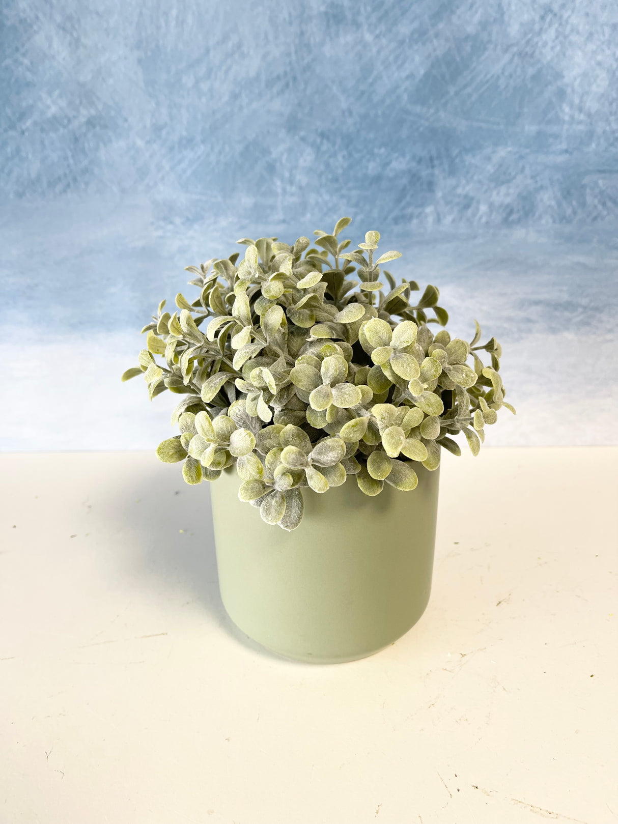 Pebble Eucalyptus Half Sphere