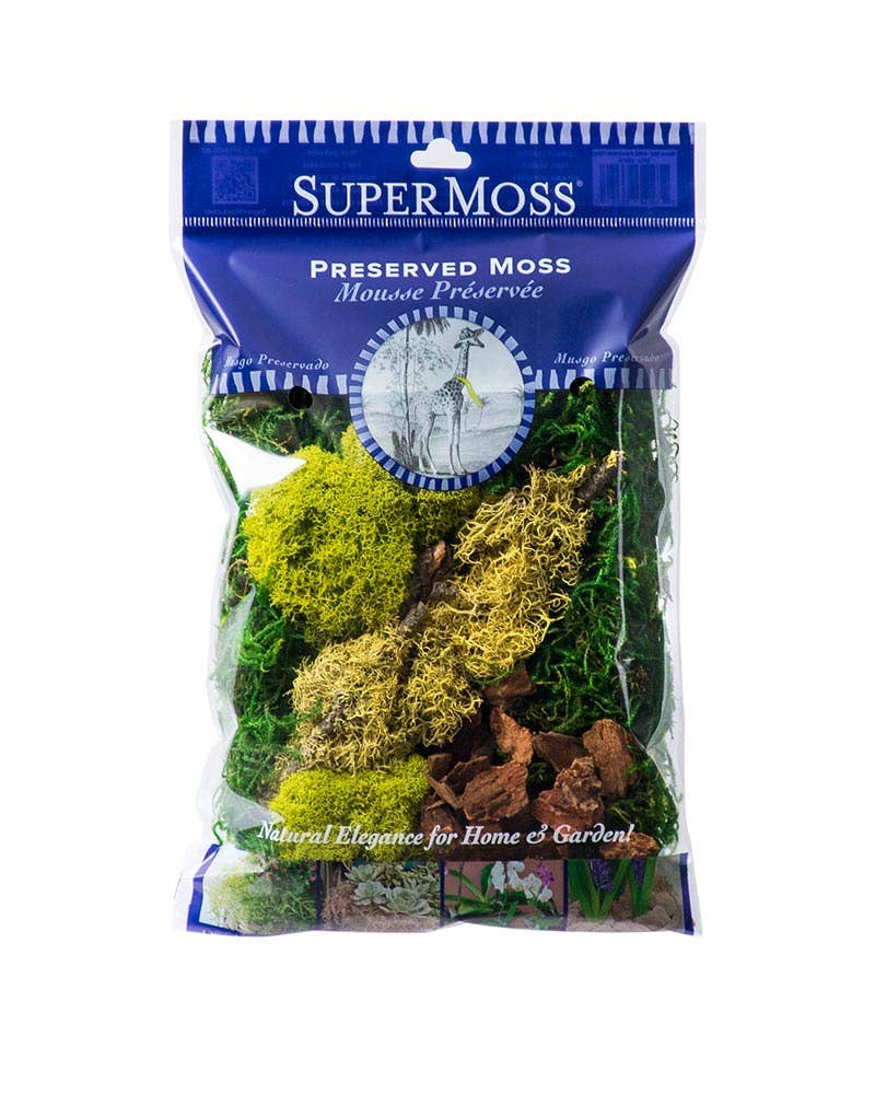 Fairy Garden Moss Kit