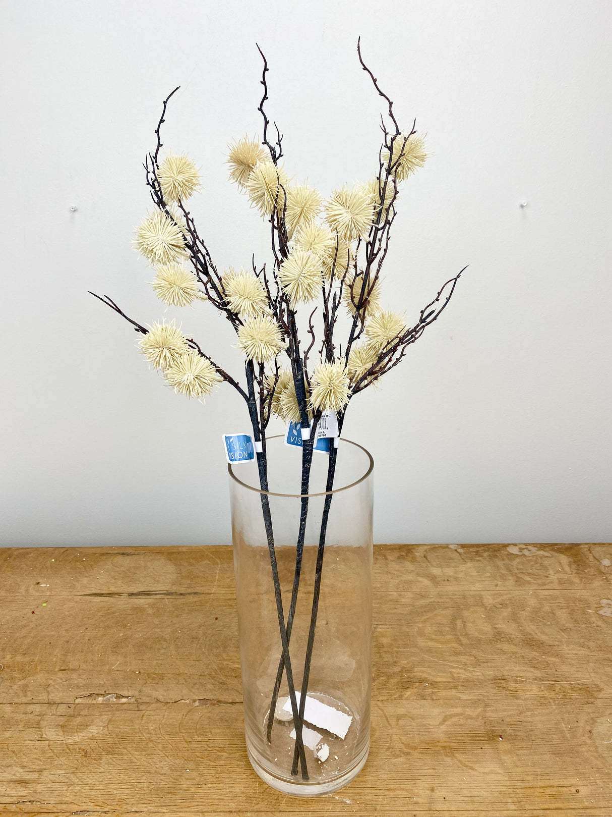 Cream Globe Thistle Stem