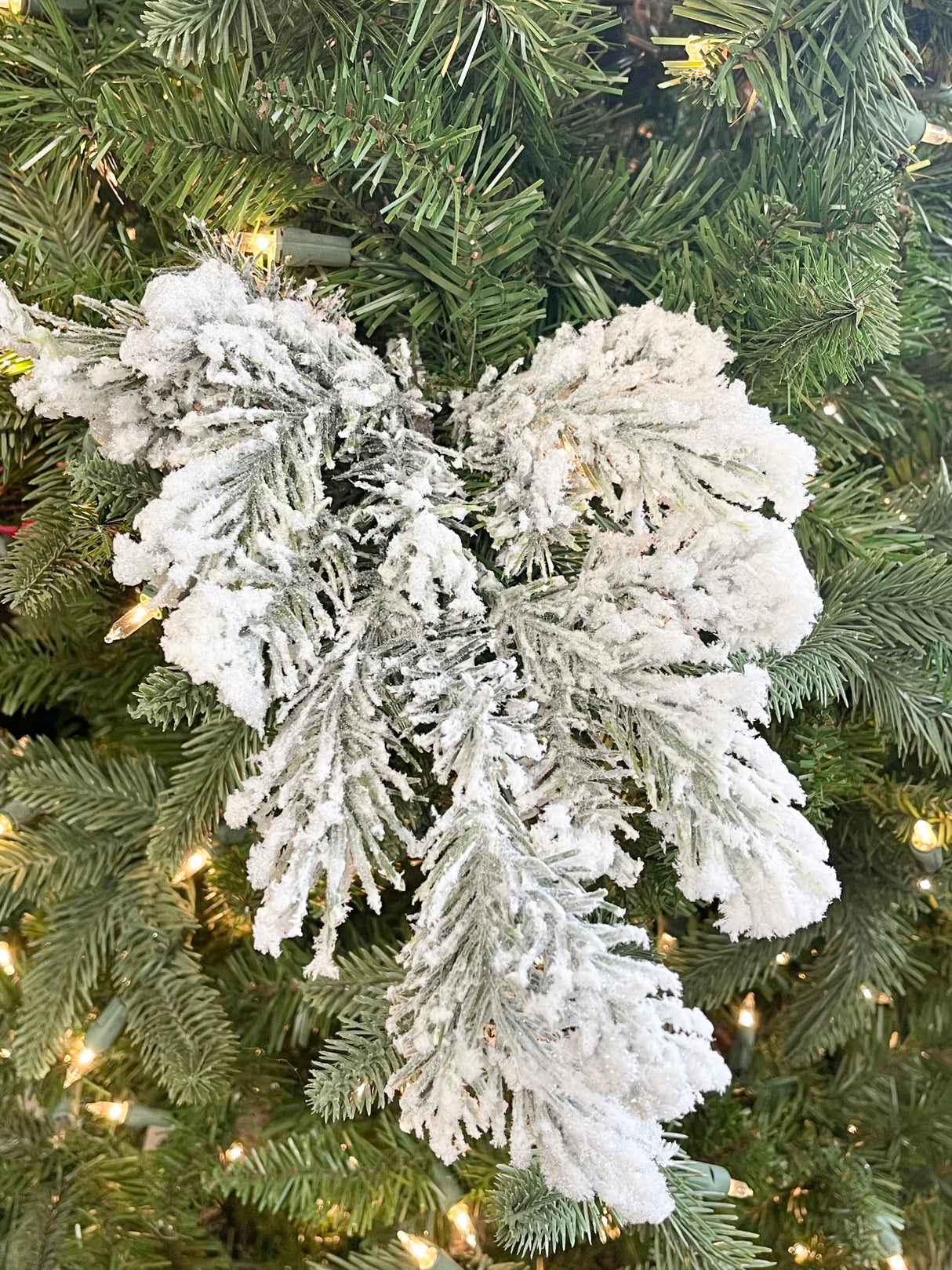 First Snow Noble Pine Spray