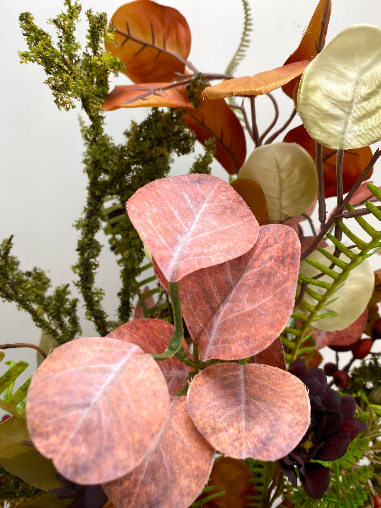 32" Crisp and Spicy Drop-in