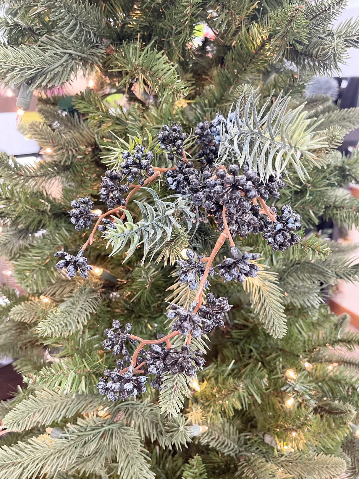 Blue Berry White Sugar Spruce Spray