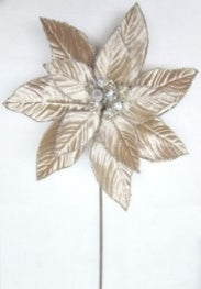 Champagne Toast Poinsettia Stem