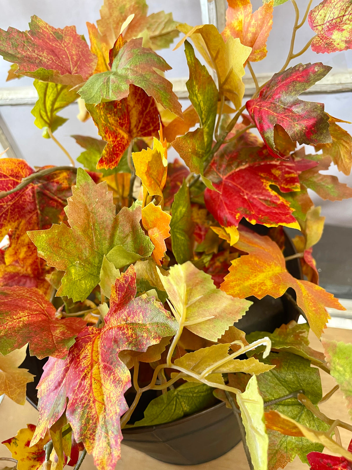 Flame Maple Leaf Hanging Bush