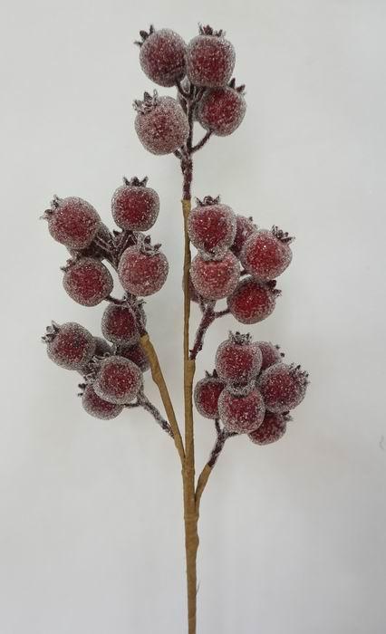 Burgundy Ice Pod Spray