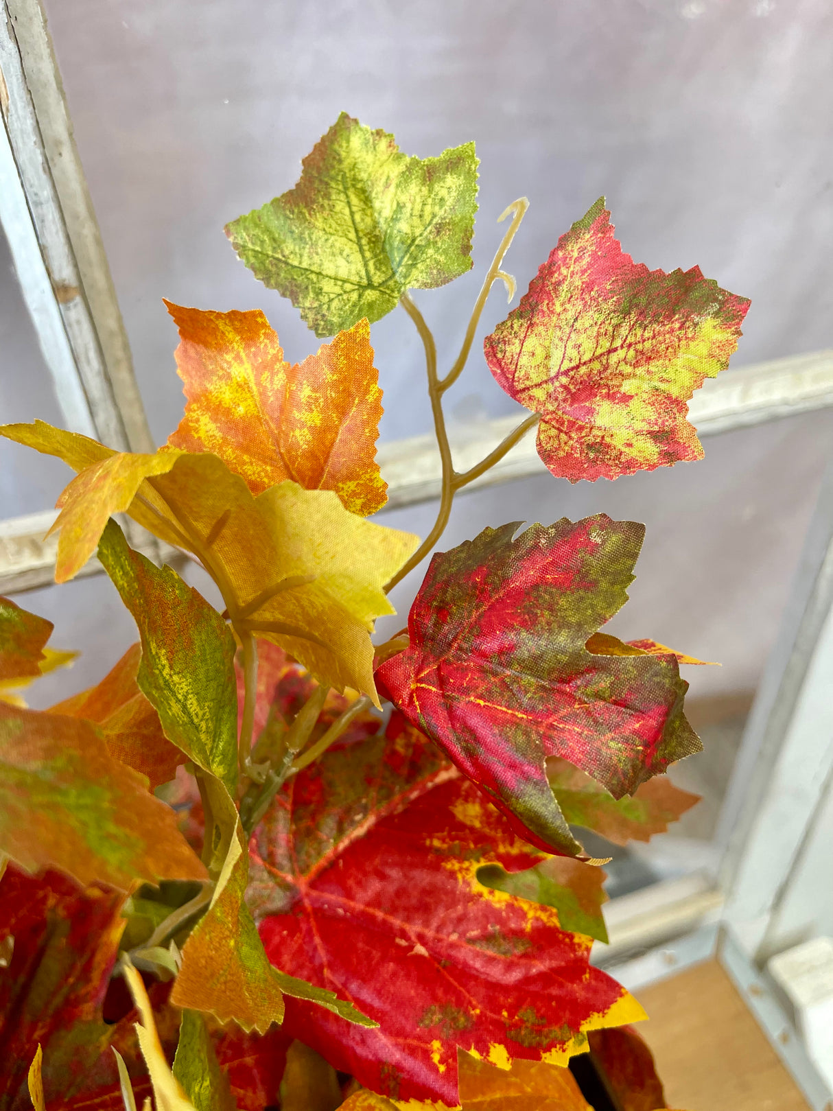 Flame Maple Leaf Hanging Bush