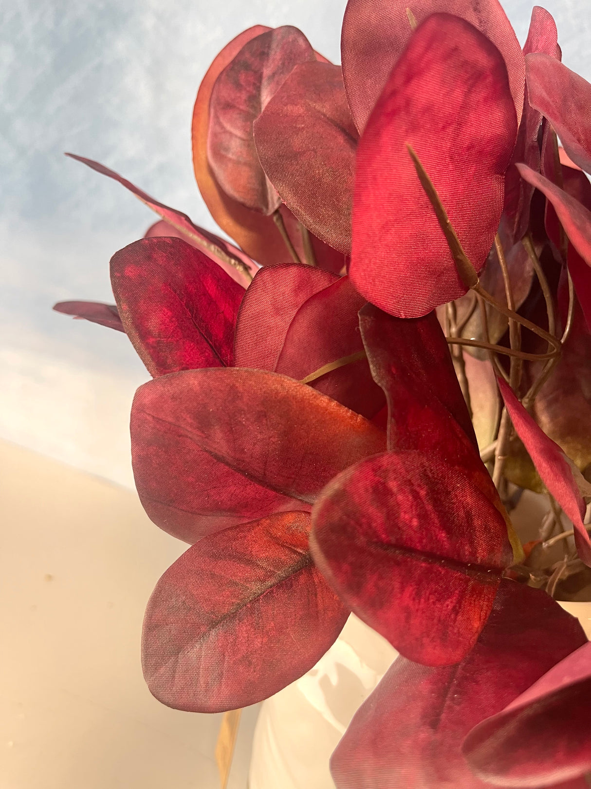 Red Cotinus Leaf Bush