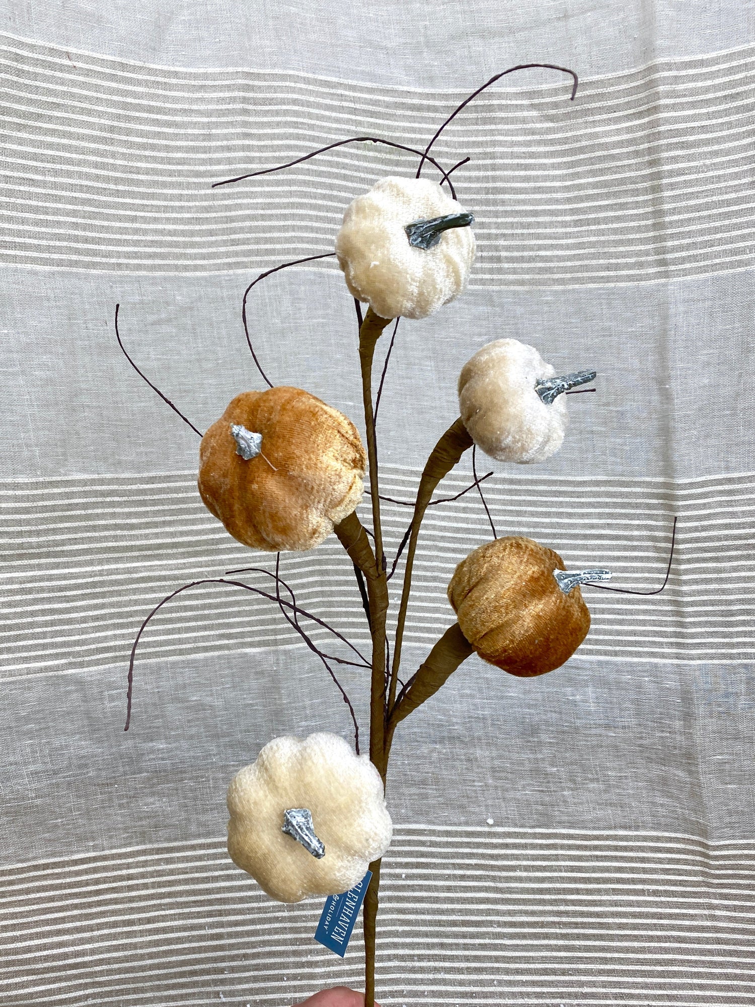Autumn Ombre Pumpkin Pick